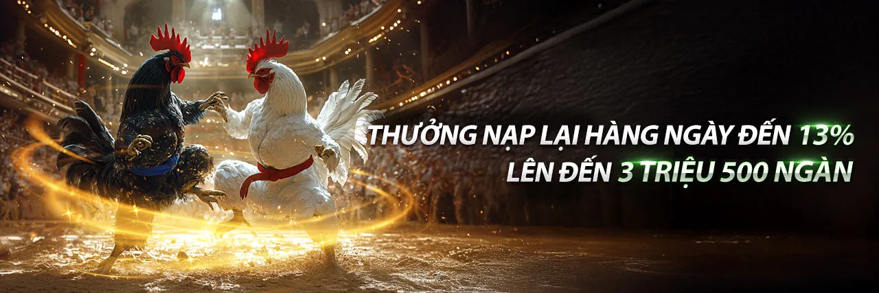 Cá cược thể thao đỉnh cao tại nn88 app